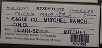 Image Associated With the Occurence